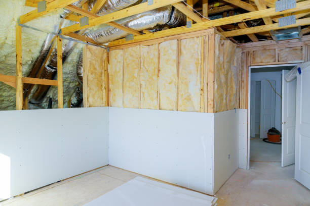 Best Geographic-Specific Insulation Services in Carolina Forest, SC