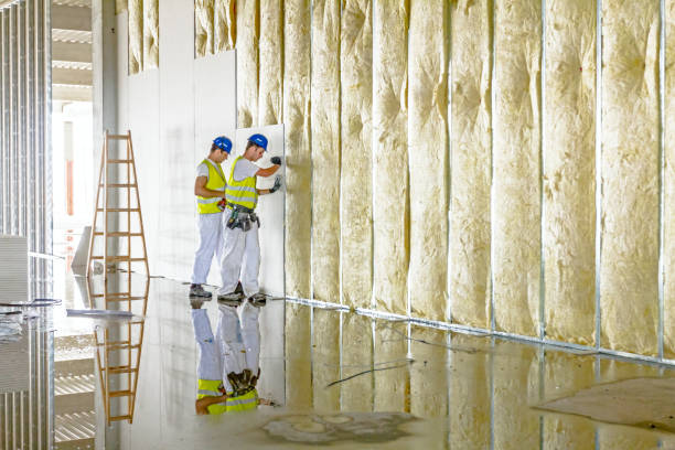 Best Blown-in Insulation in Carolina Forest, SC